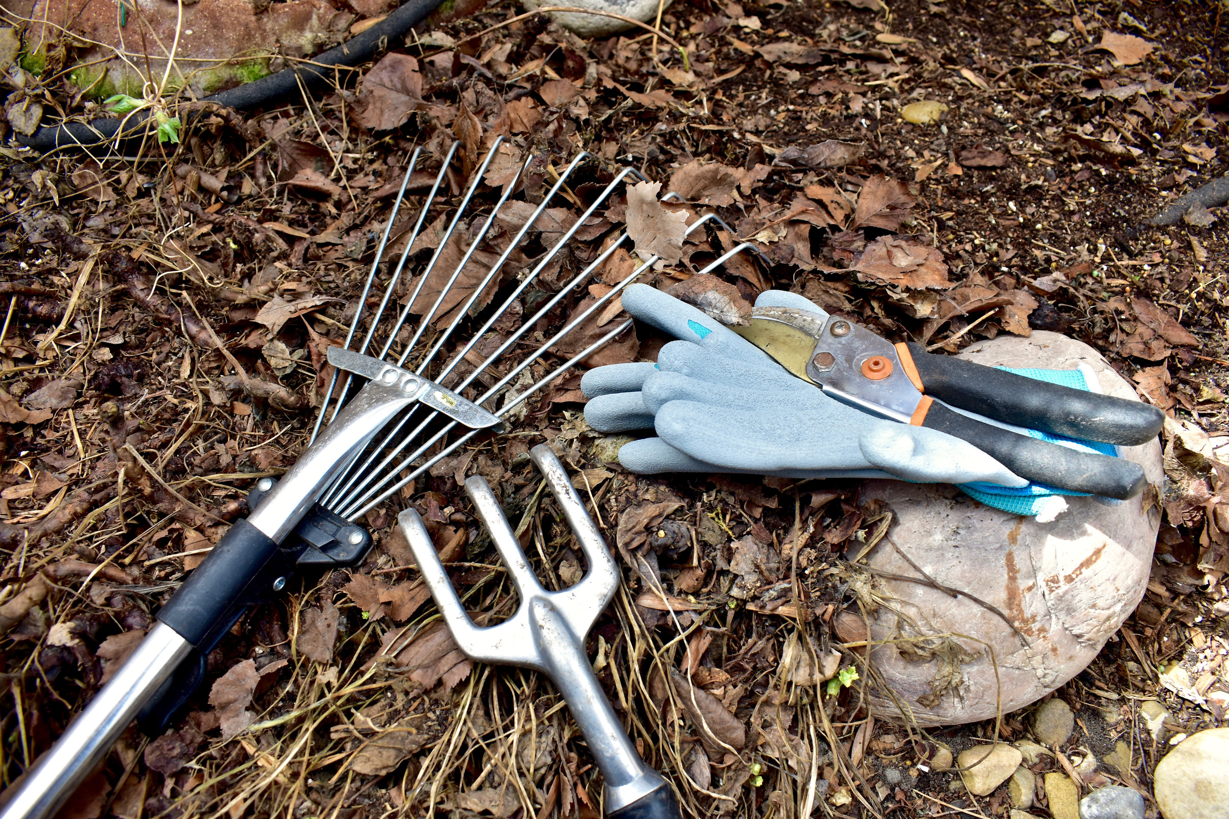 Gardening landscape tools and equipment for spring yard clean-up